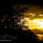 Tennessee Sunsets